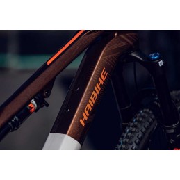 HAIBIKE LYKE CF 10 2023 | Accessoires et équipements pour vélo