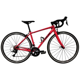 TREK DOMANE AL 3 2019