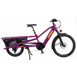 YUBA SPICY CURRY V4 VERRY BERRY| Accessoires et équipements pour vélo