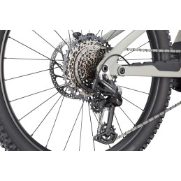 CANNONDALE MOTERRA LT 1 TIGER SHARK 2025| Accessoires et équipements pour ...