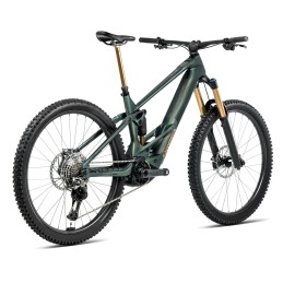ORBEA WILD M10 SEAWEED CARBON 2025| Accessoires et équipements pour ...