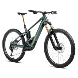 ORBEA WILD M10 SEAWEED CARBON 2025| Accessoires et équipements pour ...