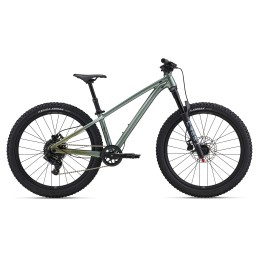 LIV STP 24 ALPINE GREEN| Accessoires et équipements pour vélo