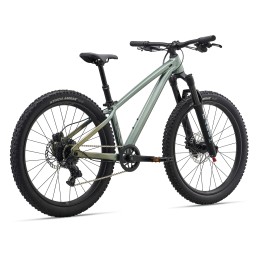 LIV STP 24 ALPINE GREEN| Accessoires et équipements pour vélo