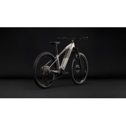 CUBE REACTION HYBRID ONE 720 PEARLSILVER'N'CHROME 2027 | Accessoires et équipements pou...