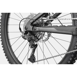 CANNONDALE MOTERRA 4 2027| Accessoires et équipements pour ...