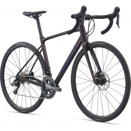 GIANT CONTEND SL 2 DISC 2021 