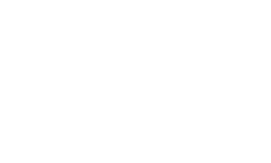 Tern