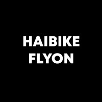 Haibike Flyon